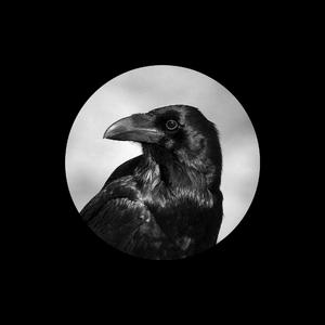 在厨房拨开内裤进入毛片
