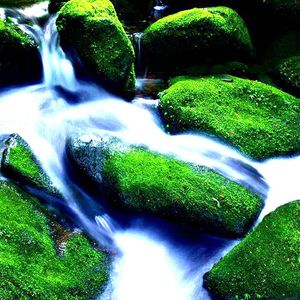 在厨房拨开内裤进入毛片
